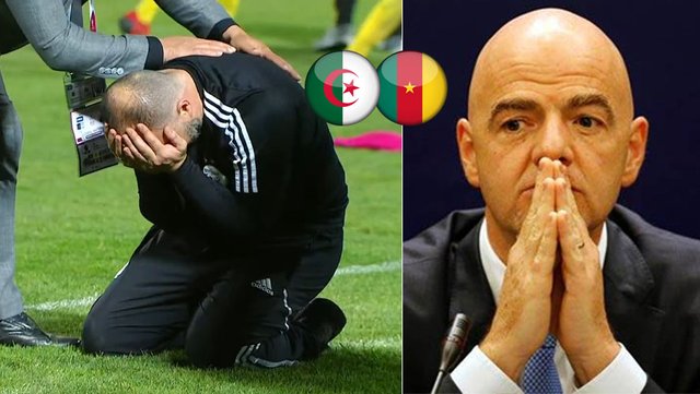 Algerie-Cameroun-FIFA.jpg