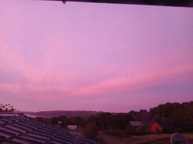 20250912_075123.jpg