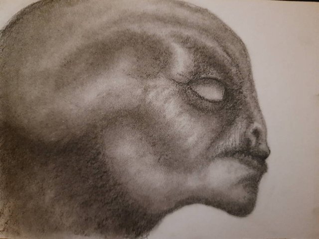 20250520_112701.jpg
