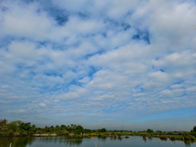 IMG_20250331_081622.jpg