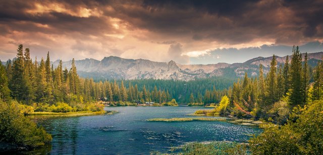 canada-clouds-forest-grass-514453.jpg