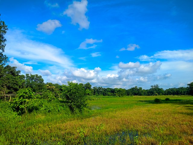 IMG20250622161141.jpg