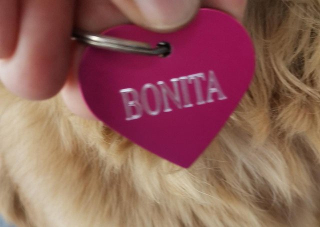 Bonita3.jpg