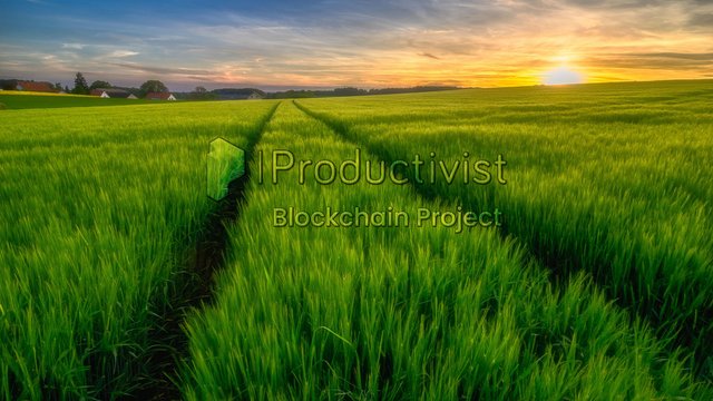 productivist-green-solution.jpg
