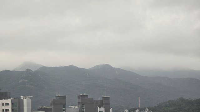1000131240.jpg