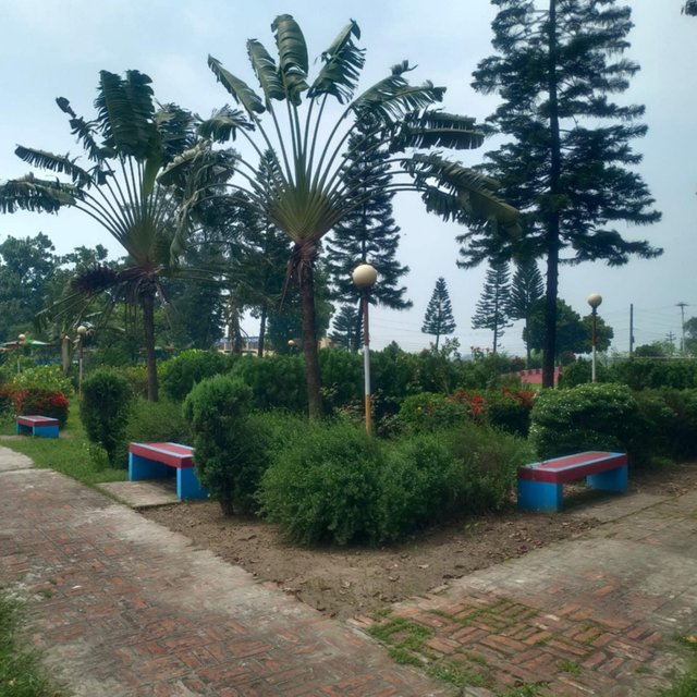 2edaef3d-9dc7-4f5c-8065-3d924c3dc90a.jpeg