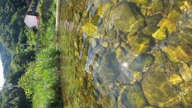 20180731_144155.jpg