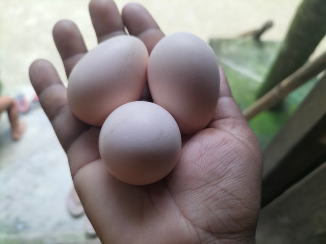 IMG20250920131927.jpg