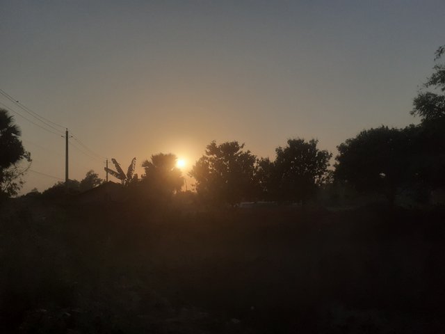 20250305_173705.jpg