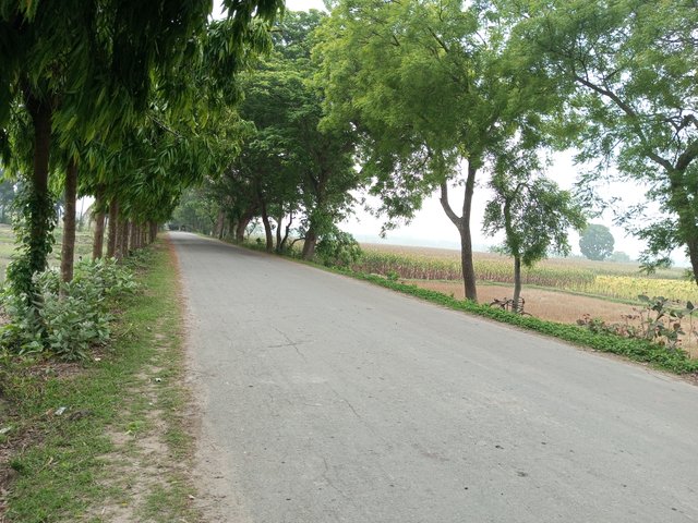 IMG_20250422_080058_170.jpg
