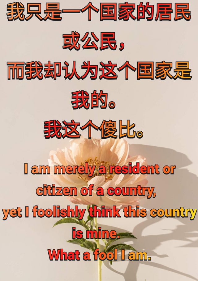 我只是一个国家的居民或公民14.png
