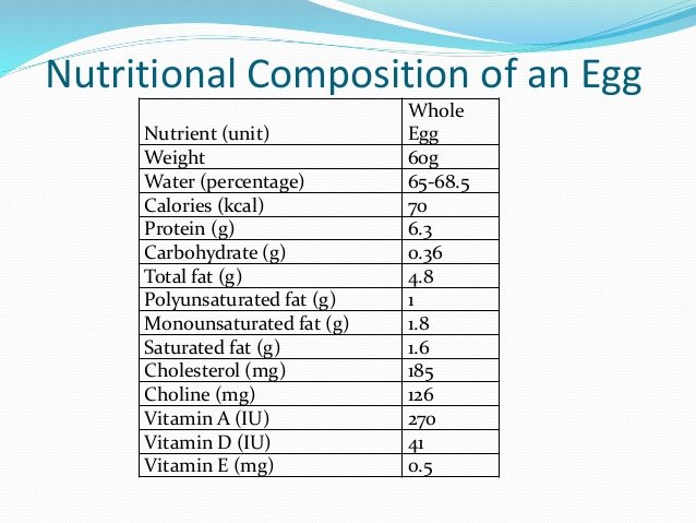 importance-of-egg-3-638.jpg