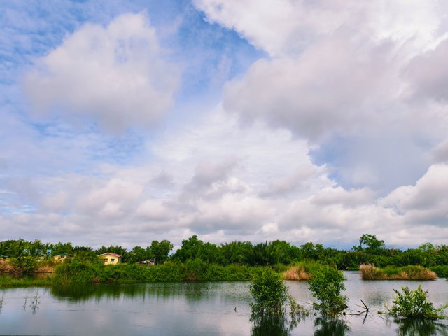 IMG_20250917_160053.jpg