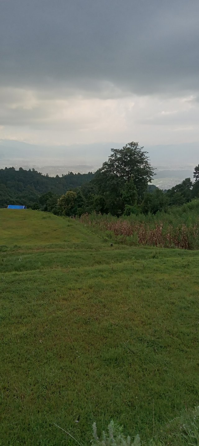 20250901_165854.jpg
