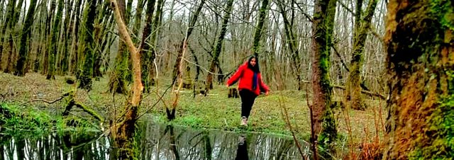 IMG_20241117_134354.jpg