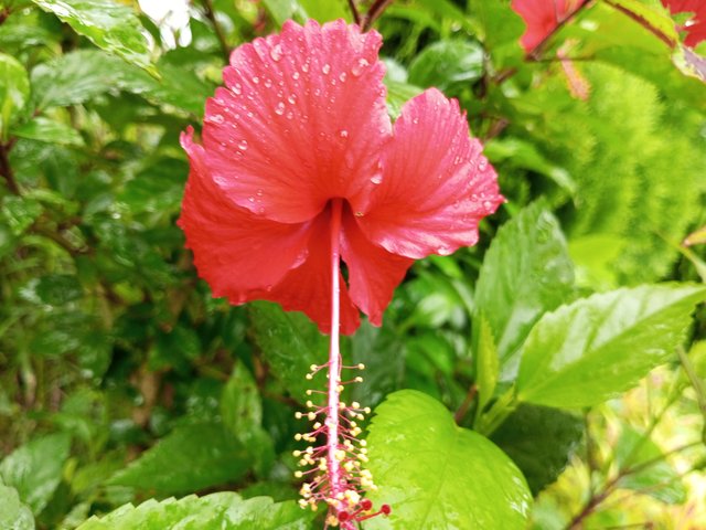 IMG_20250724_094346_606.jpg