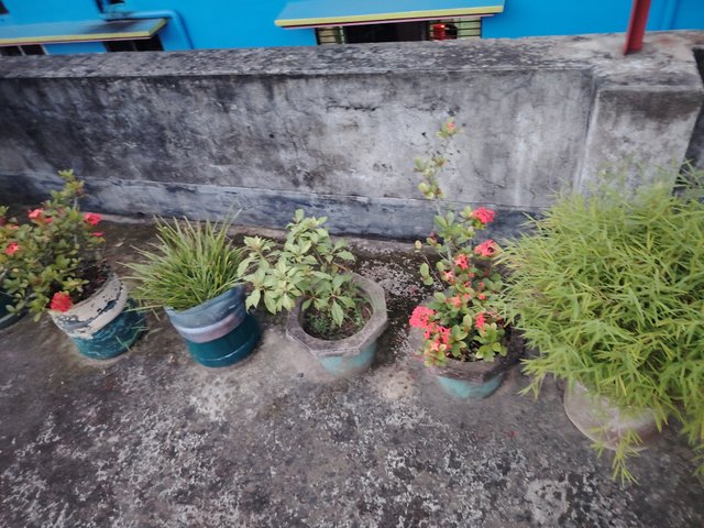 1000031015.jpg