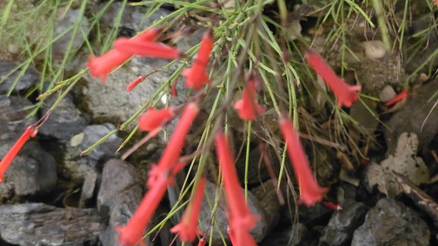 20250403_213051.jpg