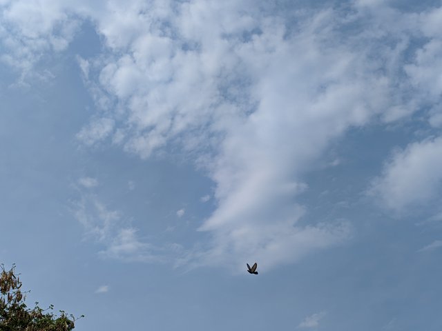 1000019150.jpg