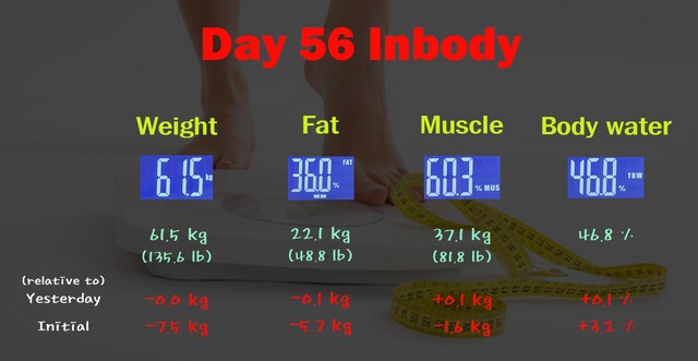 Day56 (inbody).png