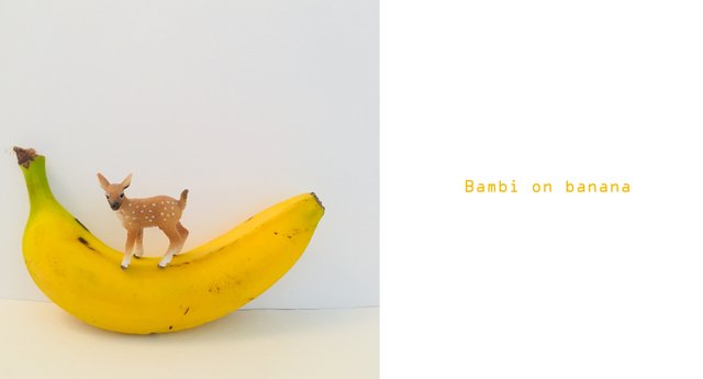 bambi_on_banana.jpg