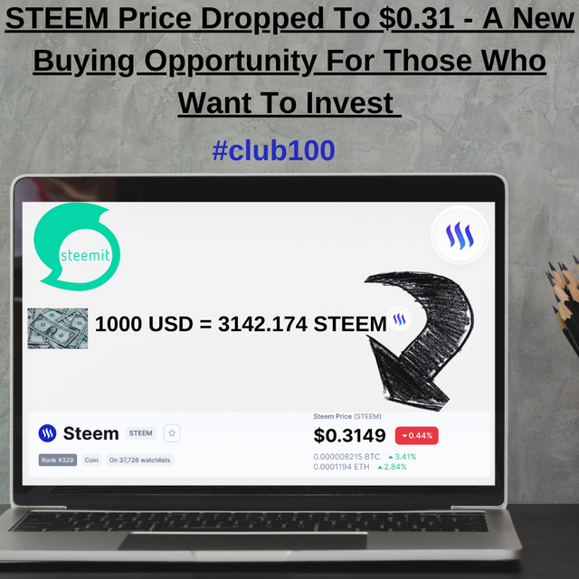 1000 USD = 3142.174 STEEM.png