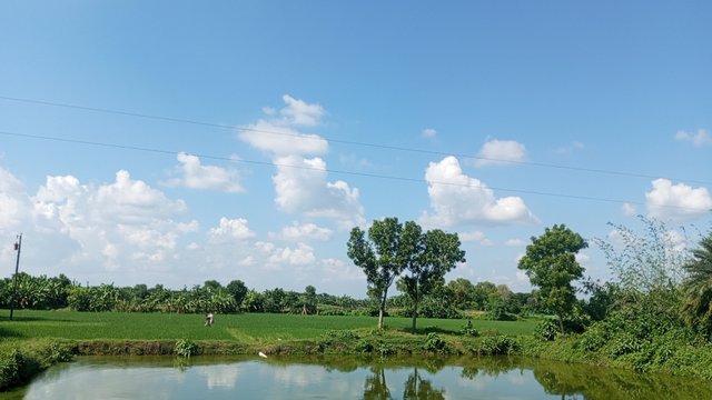 IMG_20240829_150210_9.jpg