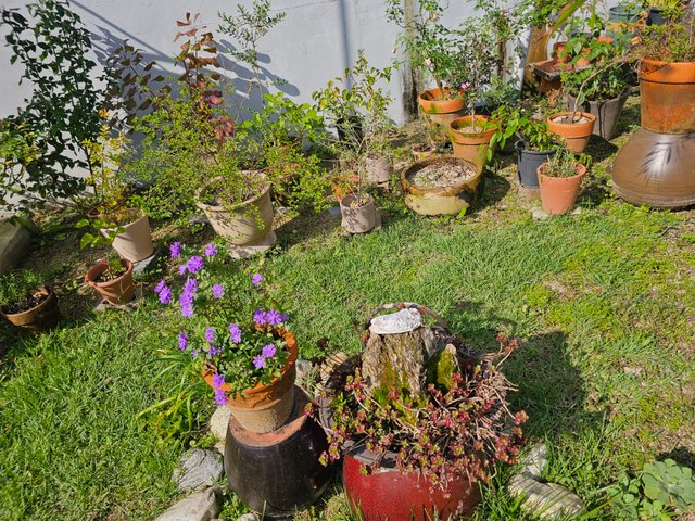 20250925_144901.jpg