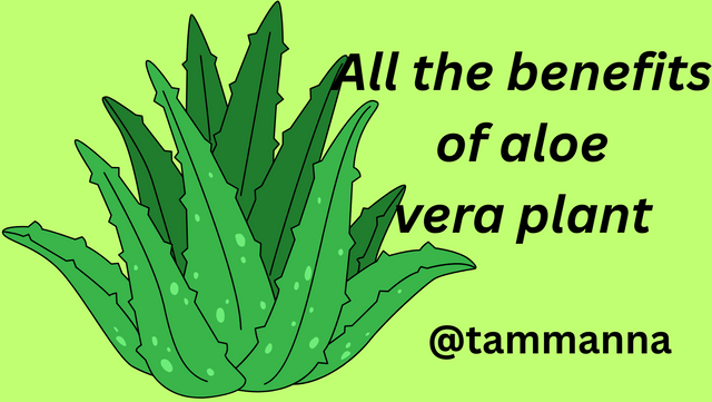 All the benefits of aloe vera plant.png