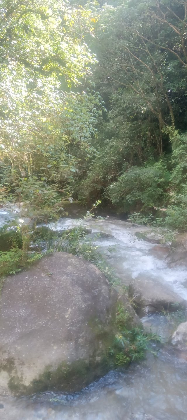 20250819_141930.jpg