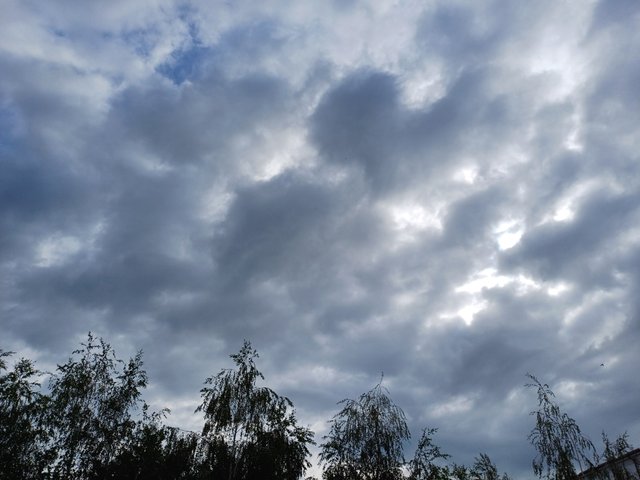 20250628_081811.jpg