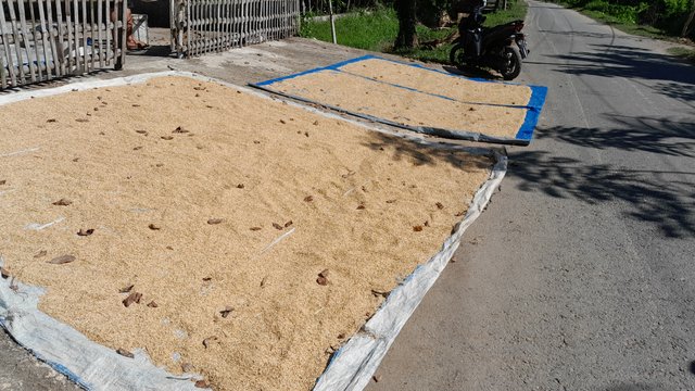 1000097840.jpg