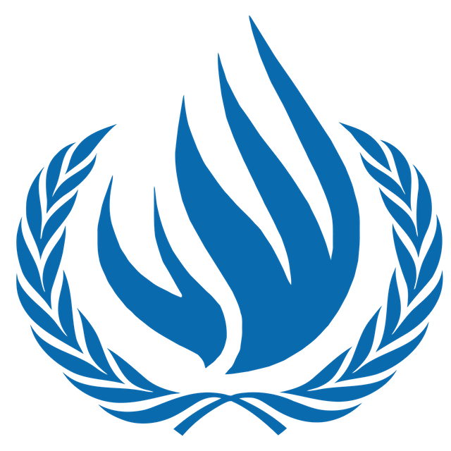 1200px-United_Nations_Human_Rights_Council_Logo.svg.png