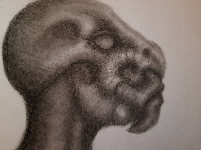 20250429_111351.jpg