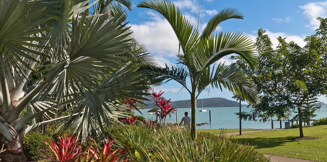 6947014026-whitsunday-islandairlie-beach (FILEminimizer).jpg