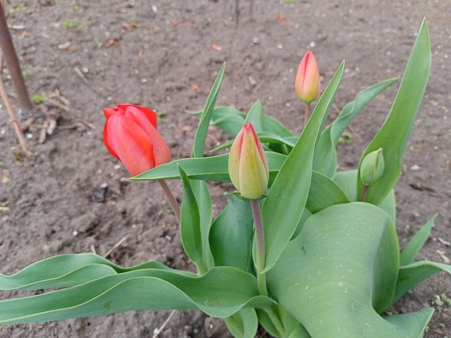 IMG_20250412_132224_376.jpg