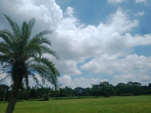 IMG20250628111401.jpg