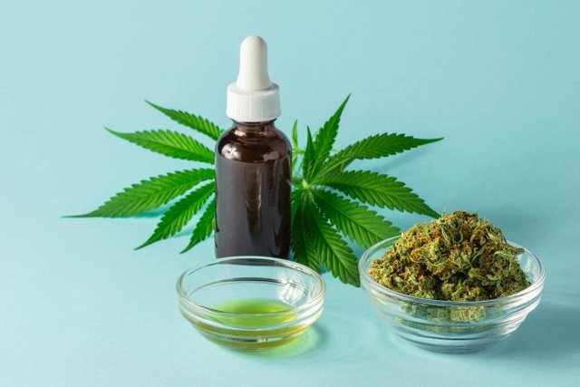 25963122_web1_TSR-HOM-20210727-7-Best-CBD-Oil-for-Anxiety--1302x868-.jpg