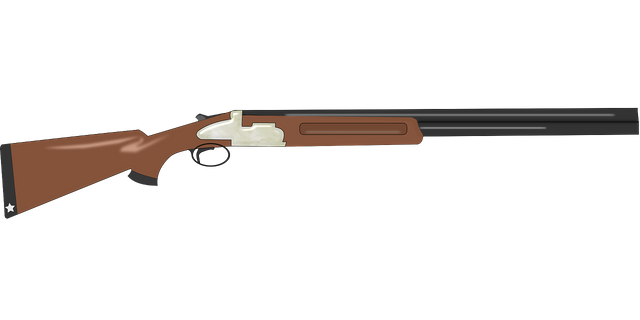 shotgun-48282_1280.png