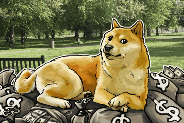 dogecoin-insights.png
