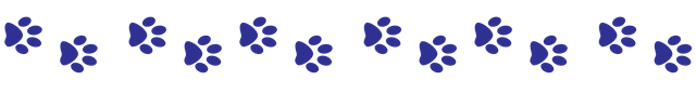 Div_2_Paws.png