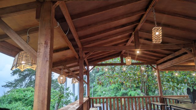 PXL_20250719_113801980.jpg