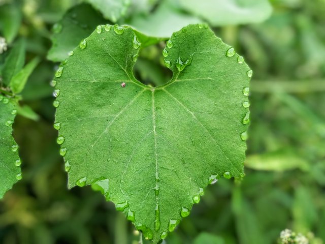 20250606_061541~4.jpg