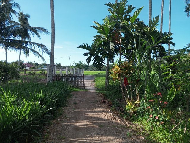 IMG_20250507_165721_718.jpg
