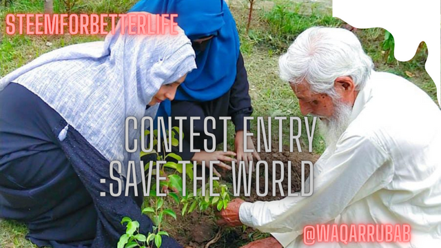 Contest EntrySave the world (1).png