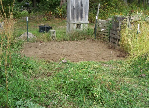 Small garden - cleared area crop September 2019.jpg