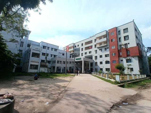 4816.jpg