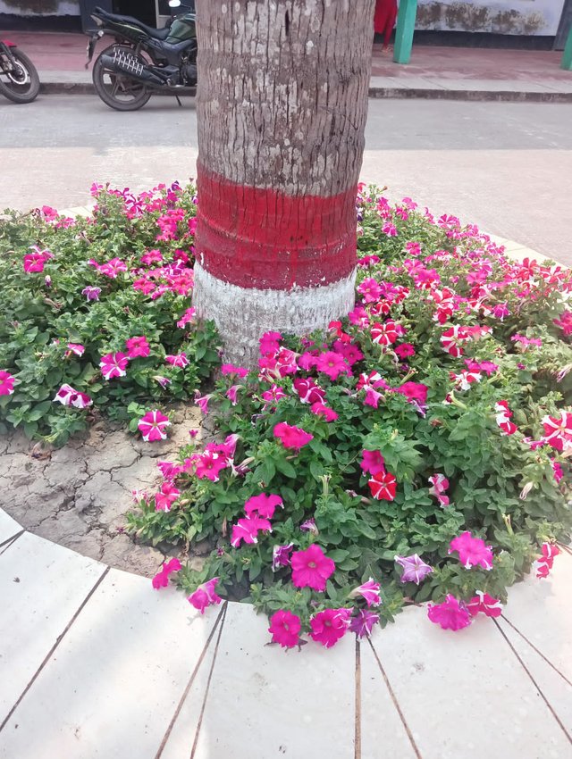 IMG-20250417.jpg