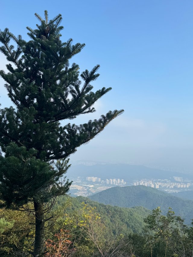IMG_1269.jpeg