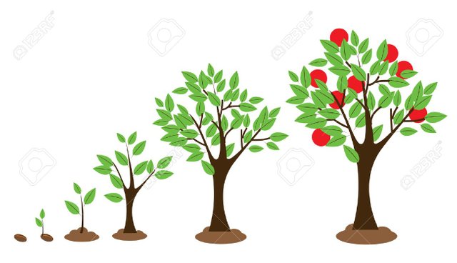 38617310-ilustración-vectorial-de-diagrama-de-crecimiento-de-los-árboles-aislados-en-blanco.jpg